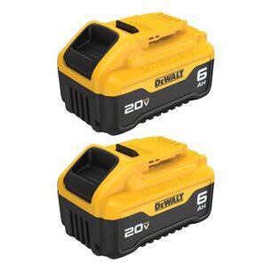 BATTERIES AND CHARGERS | Dewalt (2-Pack) 20V MAX XR 6 Ah Lithium-Ion Batteries