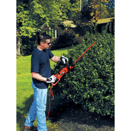 Black & Decker HH2455 120V 3.3 Amp Brushed 24 in. Corded Hedge